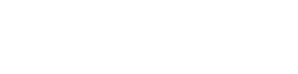 Beyond the Software logo